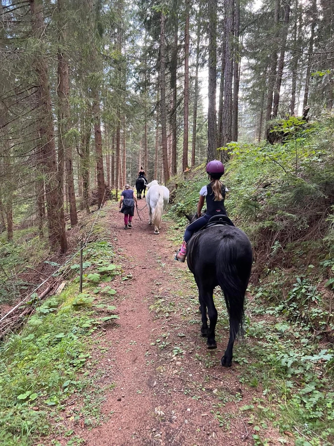 Ausritt durch den Wald – Chalet Bergblick